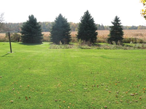Property photo 7 - 212 Acres Offered in 6 Tracts - Selling Regardless of Price
